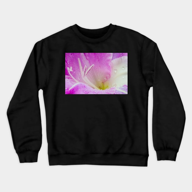 Intimacy Crewneck Sweatshirt by nikongreg